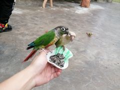-昆明动物园