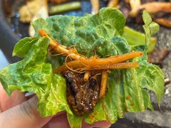 -一烙锅(友谊店)