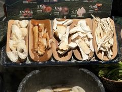 -芸山季·云南山珍菌火锅(人民广场来福士店)