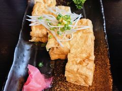 -春草居酒屋·晴子の店