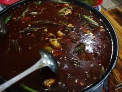 -金海椒罐罐鲢鱼(东方桂苑店)