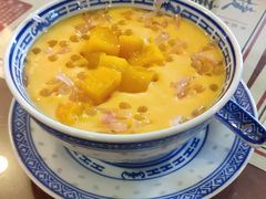 杨枝甘露-捷信牛奶甜品世家(五道口店)