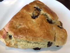 提子干黄油司康-星巴克(万都店)