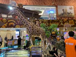 点击看大图 -卡通尼·Safari非洲探索乐园·生日会(金桥国际商业广场店)