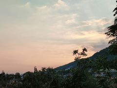 -蘇河湾·新鲁菜·泰山宴(泰山店)