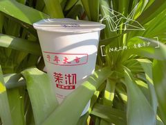 -茉沏(西园路店)