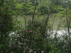 -青龙山国家森林公园