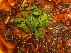 -龙抄手食府(浣花北路店)