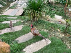 -李小龙乐园(顺德均安店)