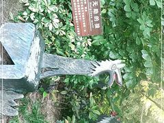 -青青世界