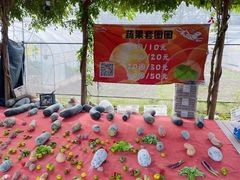 -前小桔亲子创意农场·草莓采摘·露营烧烤