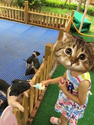 -萌宠亲子动物乐园(槐房万达店)