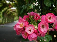 -广富林郊野公园