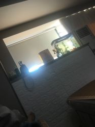 -纤济美·减重塑形