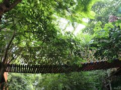 -呀路古热带植物园