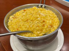 -丁老爷子苏香圆