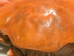 -靓湾海鲜·海景餐厅(小麦岛店)