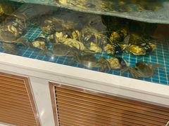 水产区-伊尹活海参馆(衡山路店)