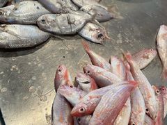 -鸿港海鲜批发市场