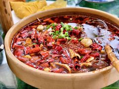 -青城甲(青城山店)