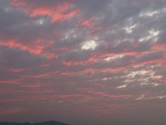 -演武大桥观景平台