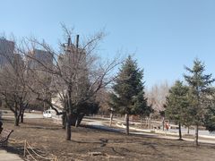 -长春公园(普阳街道)