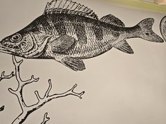 -禾斗海鲜自助(市南银座店)