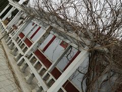 -纪晓岚文化园