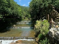 -广州白江湖森林公园