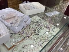 -三叶眼镜城批发市场(上海火车站店)