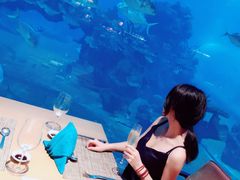 -海棠湾洲际-涛·海底餐厅·美人鱼·自助餐·海底隧道