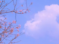 -田野绿世界