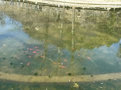 -白水寺森林公园