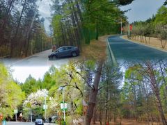 -帽儿山国家森林公园