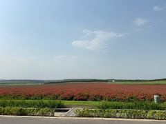 -南京枫彩漫城