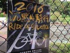 -南丫岛