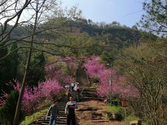 -天台山赤城山景区