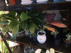 -万卉源鲜花店(百尚生活广场店)