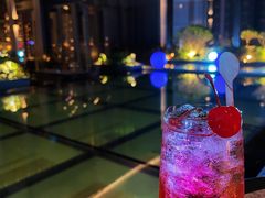 -四季酒店·空中花园 Aria on 9