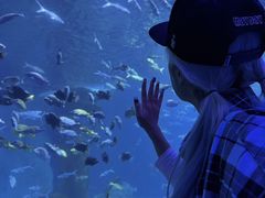 -多彩贵州城极地海洋世界