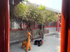 -有喜胶东小馆(太申祥和店)