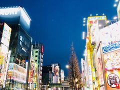 -秋叶原电器街