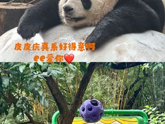 -广州长隆野生动物世界