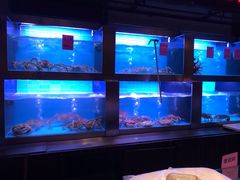 水产区-翡翠小城·海鲜豆捞·广式点心(老佛爷店)