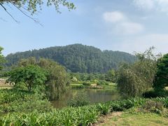 -南沙蒲洲花园