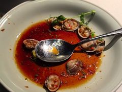 鲜麻捞汁花蛤-肴约·花园式餐厅(湖里店)
