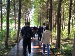 -溱湖国家湿地公园