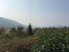 -塔川景区