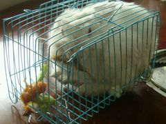 -味庄·家宴(金海四路店)