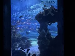 -海合安武汉极地海洋公园